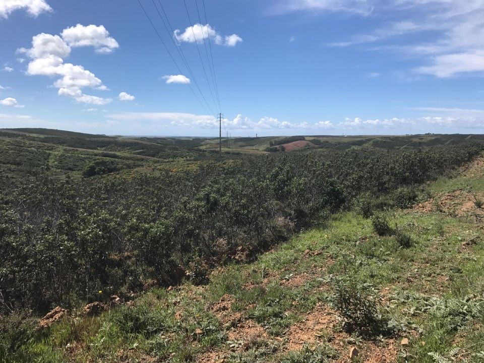 Helårsgrund i Sagres, Faro - foto 3