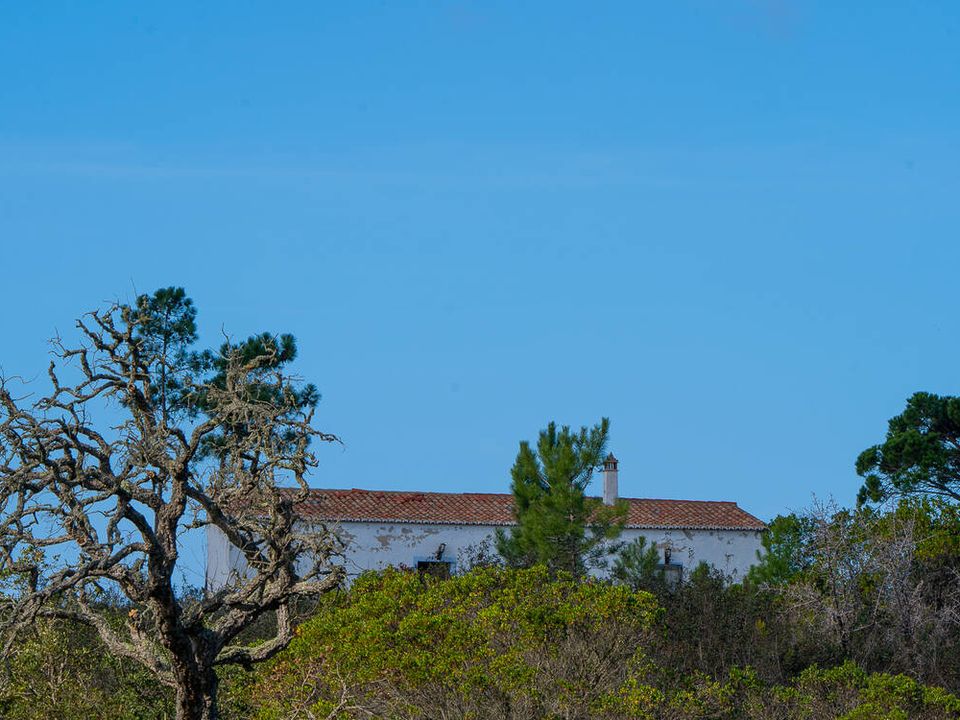 Villa i Aljezur, Faro - bilde 4