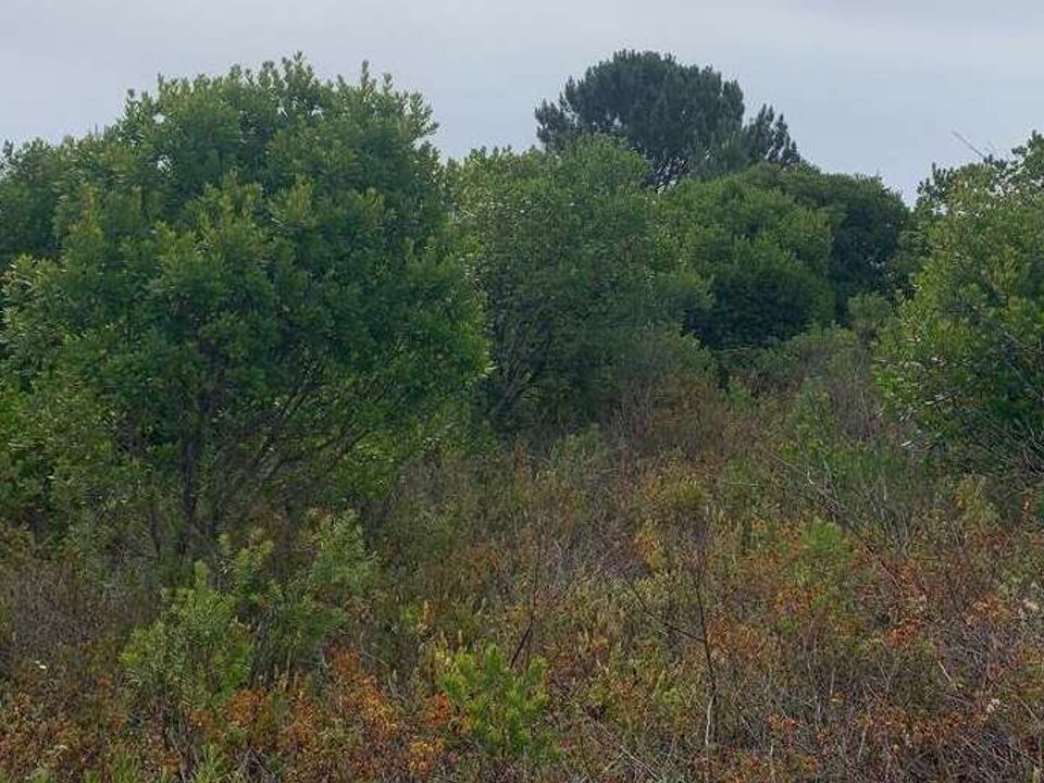 Helårsgrund i Odemira, Beja - foto 4