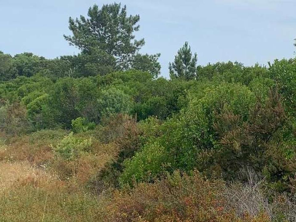 Helårsgrund i Odemira, Beja - foto 5