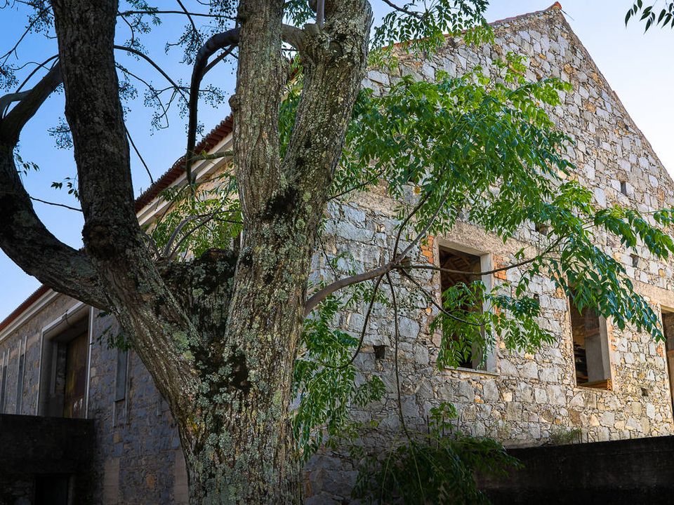 Erhvervsejendom i Monchique, Faro - foto 4