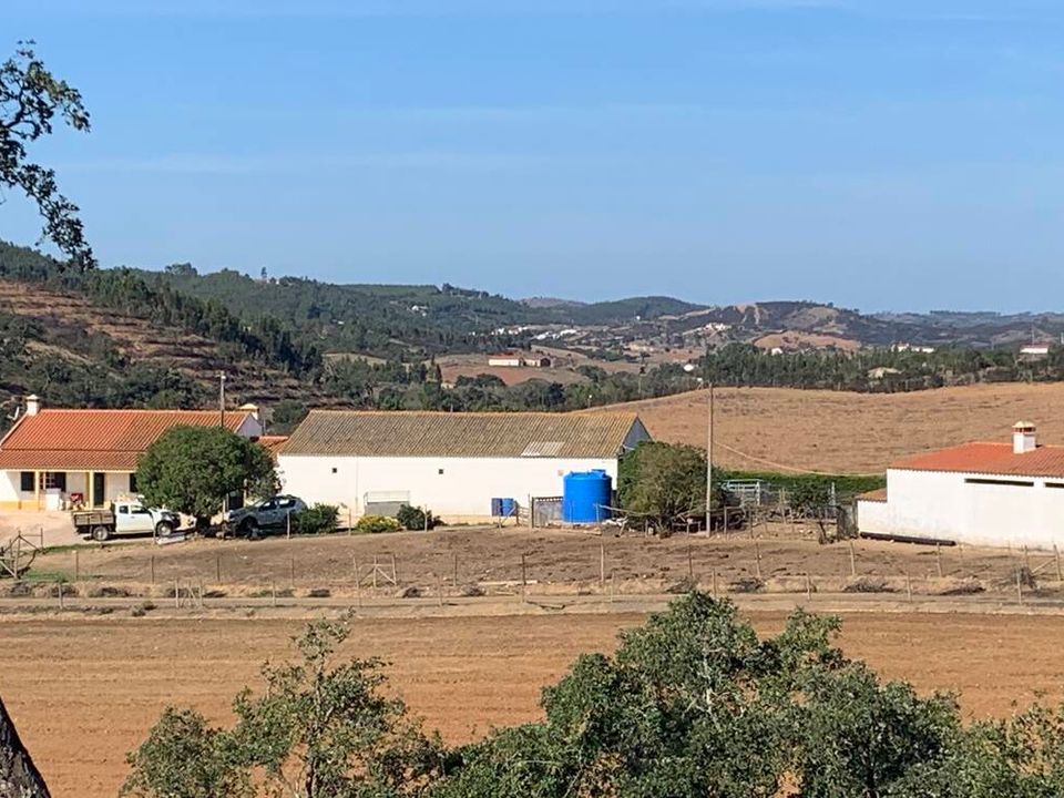 Farm i Odemira, Beja - foto 2