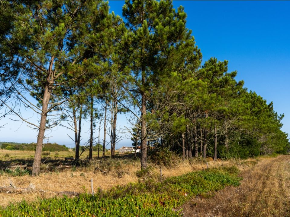 Villa i Aljezur, Faro - foto 4