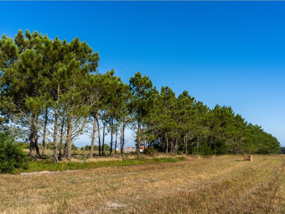 Villa i Aljezur, Faro - foto 5