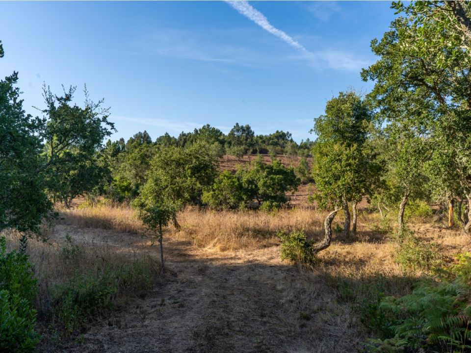 Villa i Aljezur, Faro - bilde 4
