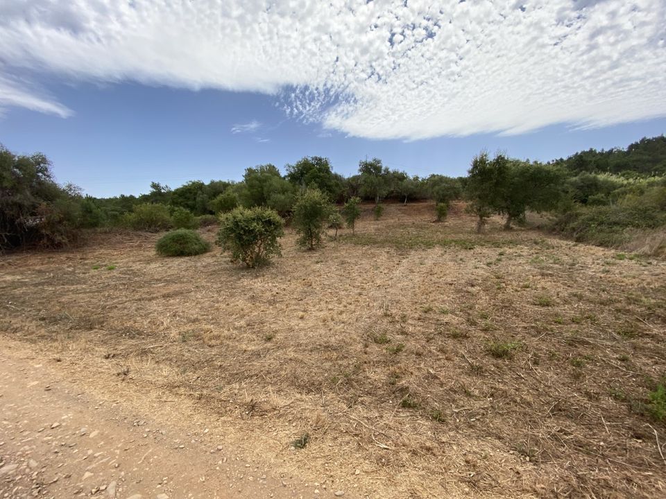 Helårsgrund i Aljezur, Faro - foto 3