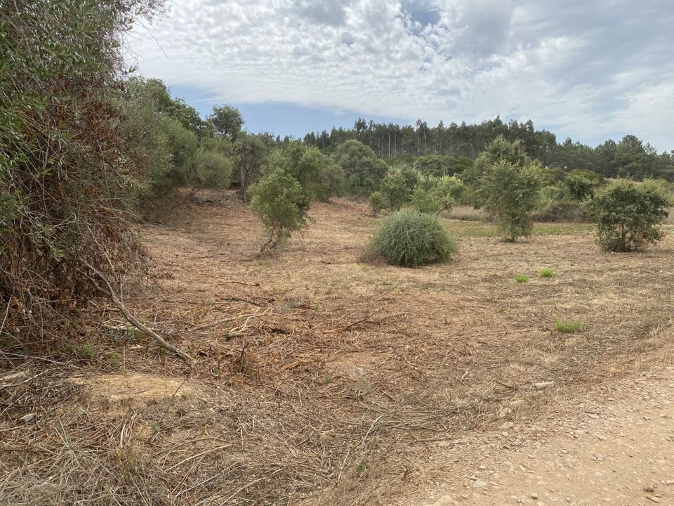 Helårsgrund i Aljezur, Faro - foto 4