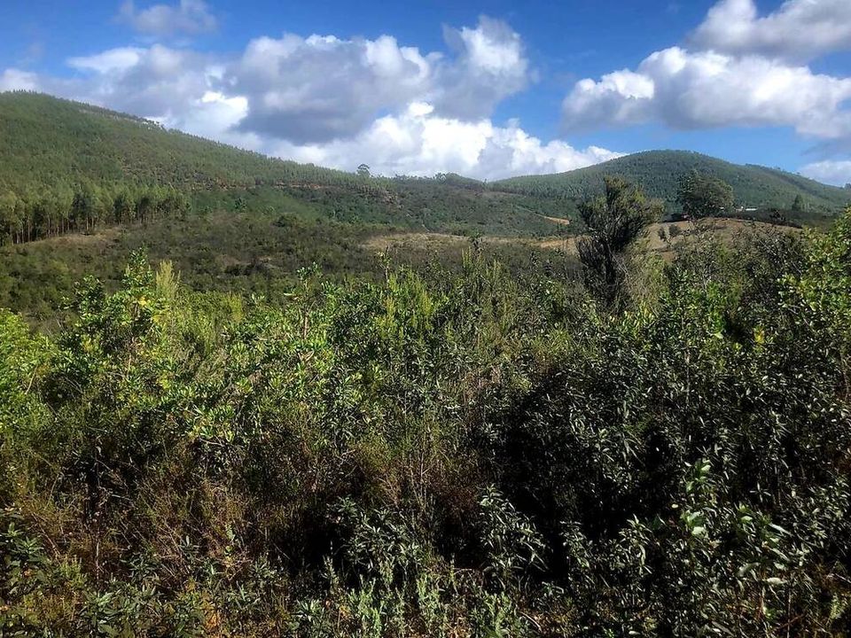 Helårsgrund i Odemira, Beja - foto 4