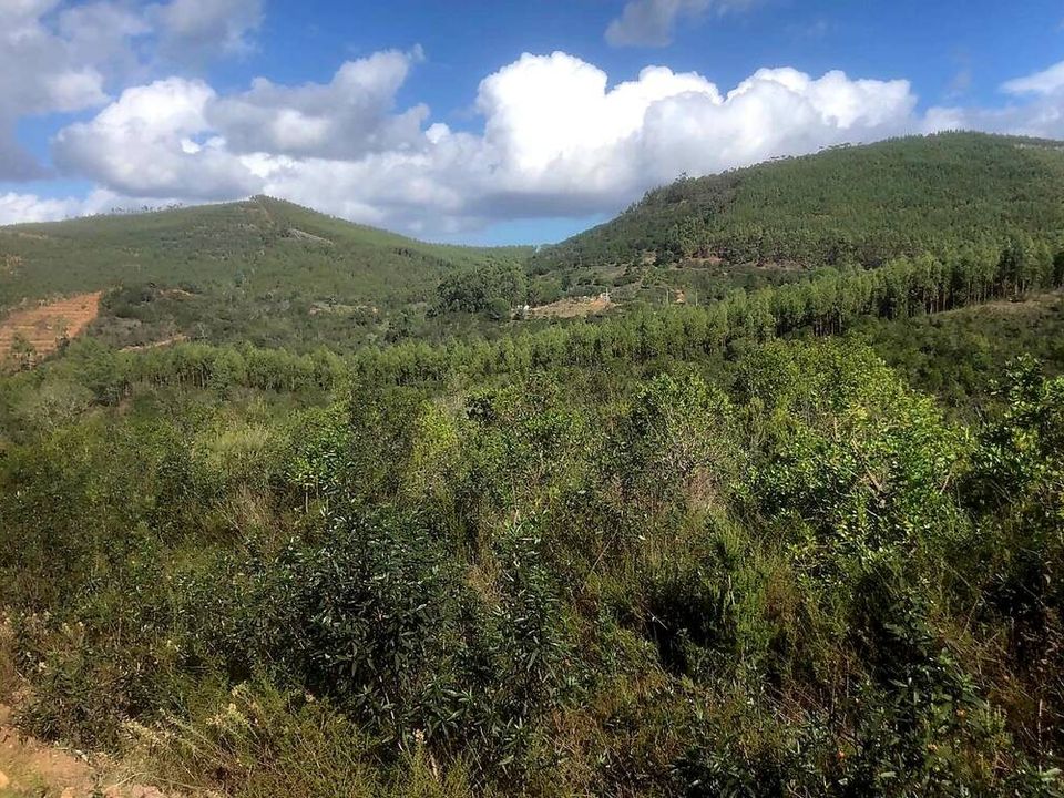 Helårsgrund i Odemira, Beja - foto 1