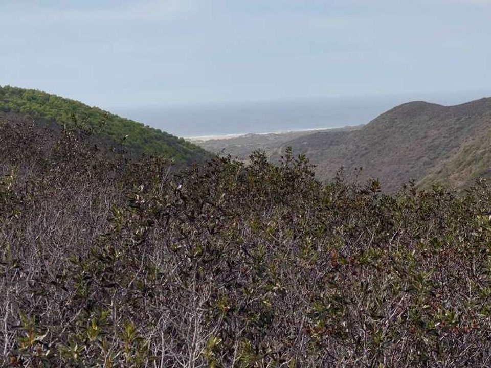 Helårsgrund i Aljezur, Faro - foto 5