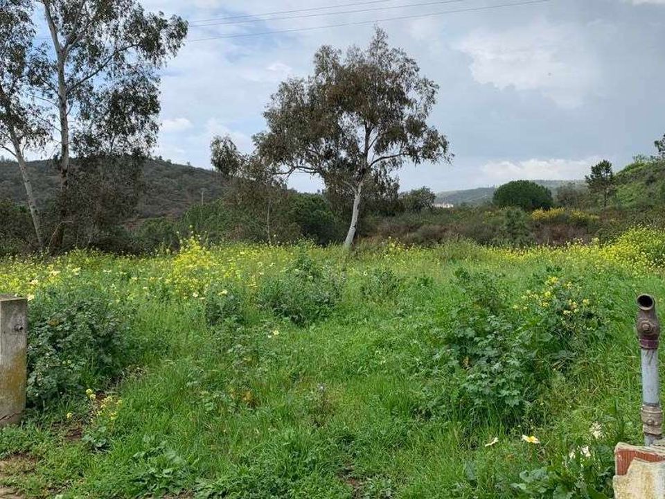 Erhvervsejendom i Odemira, Beja - foto 3