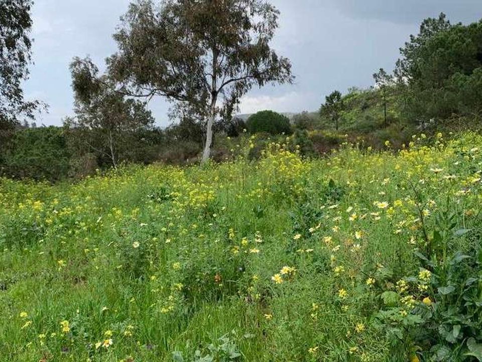 Erhvervsejendom i Odemira, Beja - foto 5