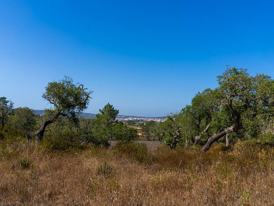 Villa i Aljezur, Faro - bilde 4