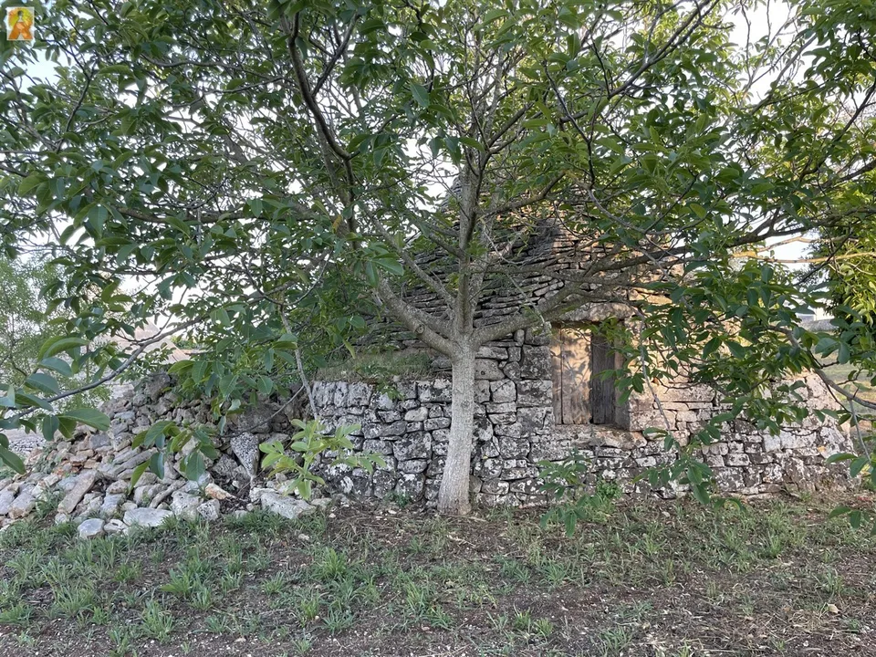 Herregård i Martina Franca, Taranto - bilde 5