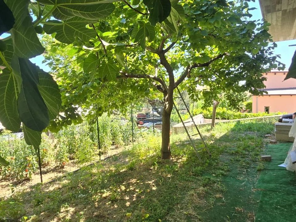 Villa em Collecorvino, Pescara - foto 5