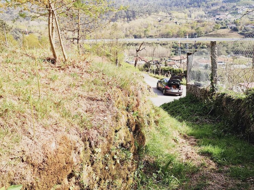Tomt i Fafe, Braga - bilde 1