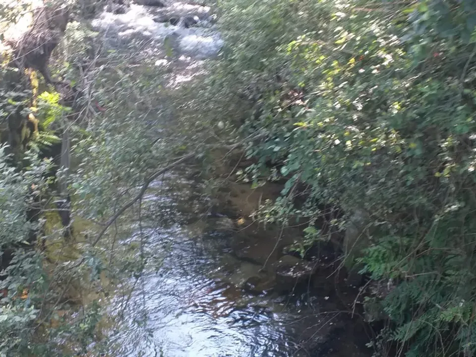 Landejendom i Fafe, Braga - foto 3
