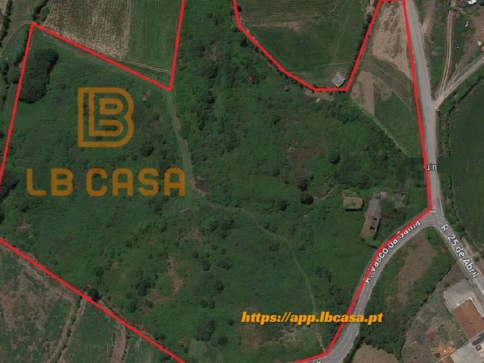 Farm i Guimaraes, Braga - foto 5