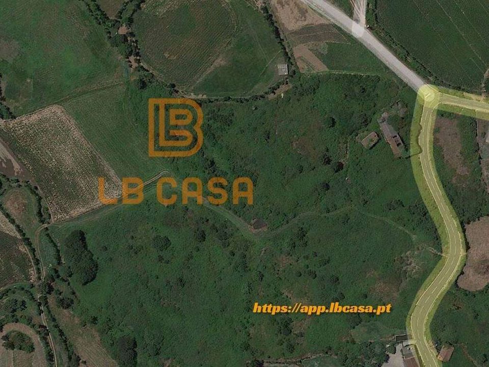 Farm i Guimaraes, Braga - foto 4