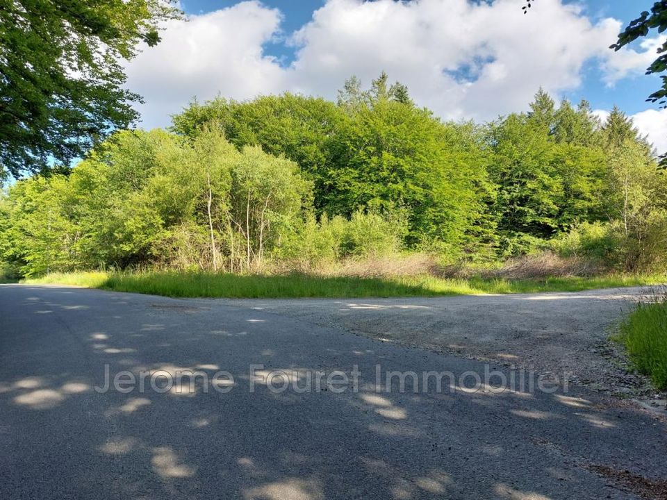 Terra a Marcillac-la-Croisille, Correze - foto 1