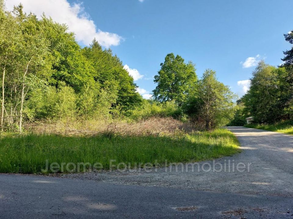 Terra a Marcillac-la-Croisille, Correze - foto 2