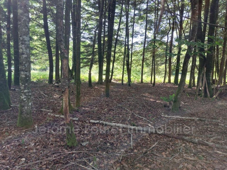 Terra a Marcillac-la-Croisille, Correze - foto 3