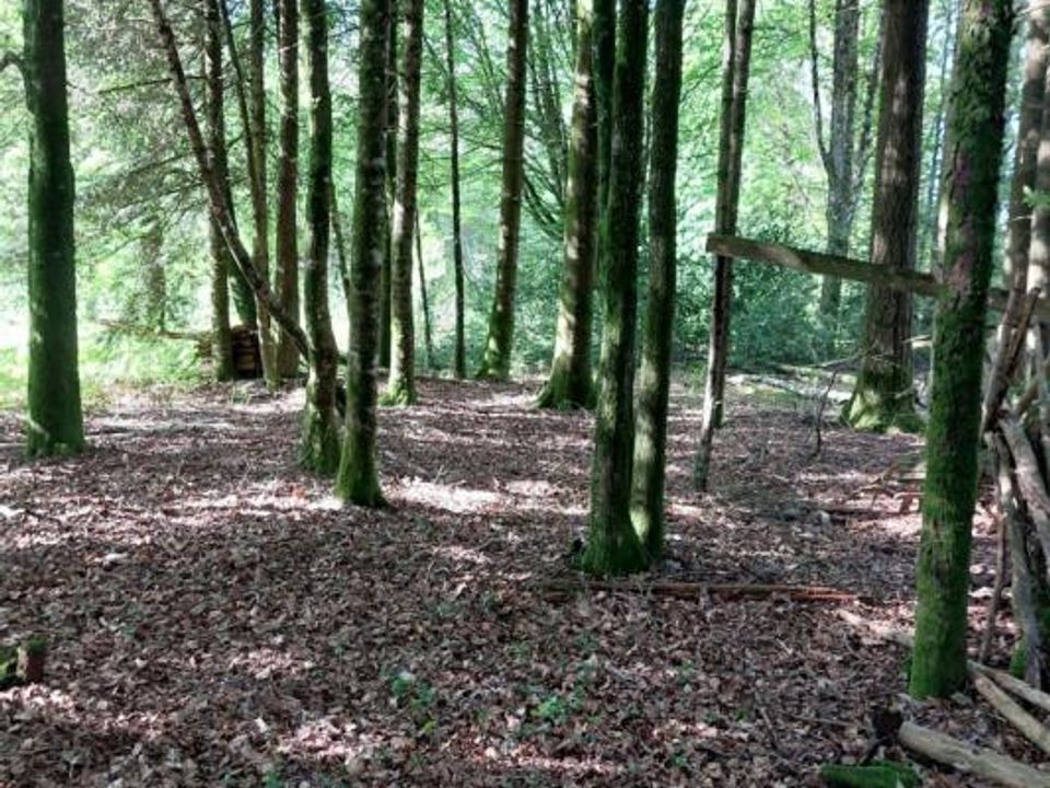 Terra a Marcillac-la-Croisille, Correze - foto 4