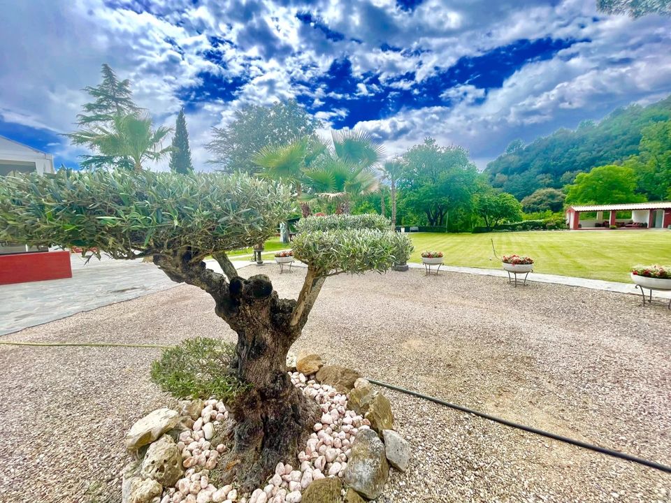 Landejendom i Mouans-Sartoux, Alpes-Maritimes - foto 2
