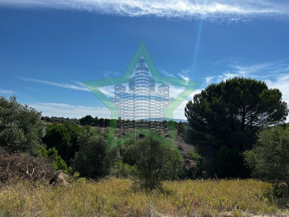 Tomt i Assentiz, Santarem - foto 3