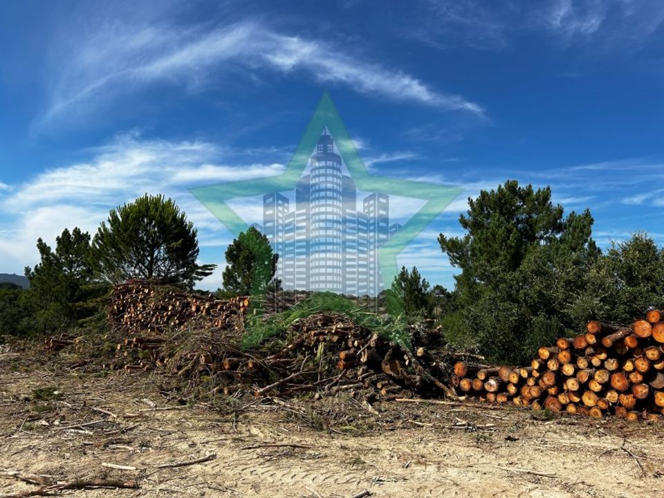 Tomt i Assentiz, Santarem - foto 5