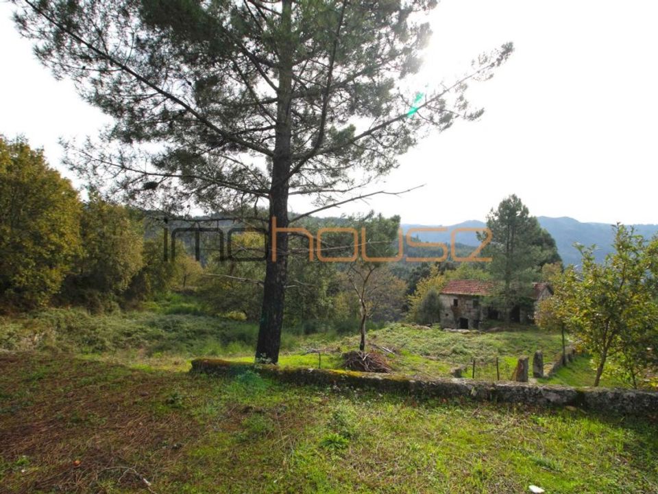 Farm i Amarante, Porto - foto 5