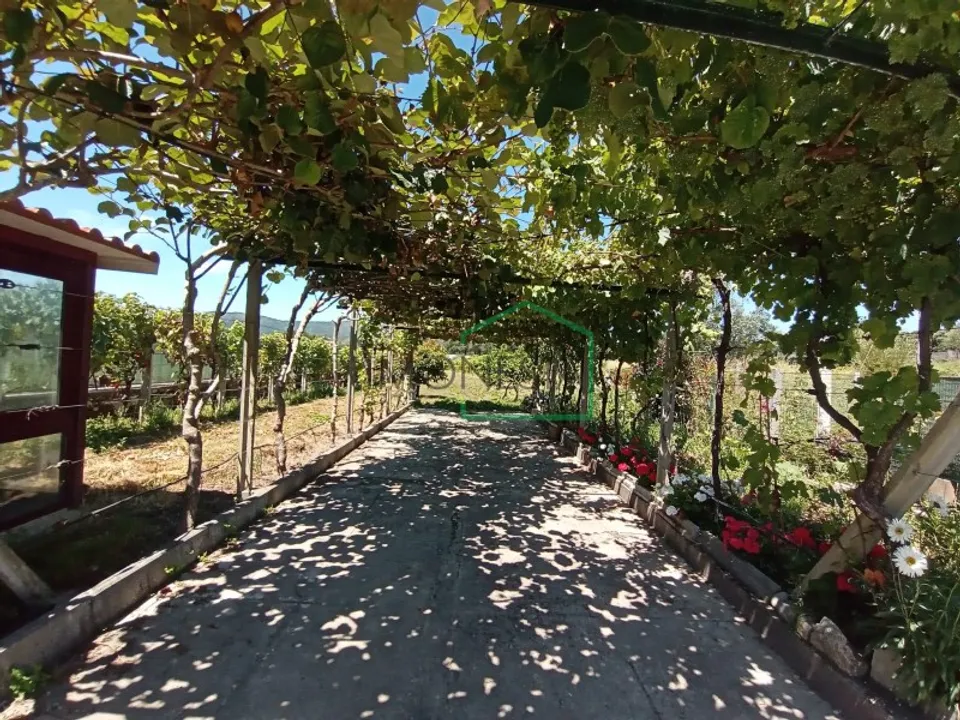 Farm i Vila Praia de Ancora, Viana do Castelo - foto 1