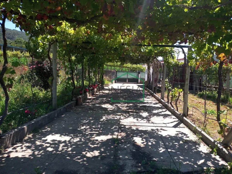 Farm i Vila Praia de Ancora, Viana do Castelo - foto 2