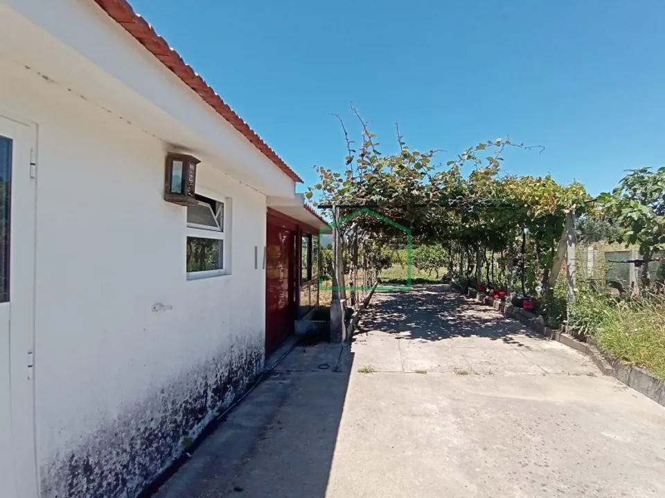 Farm i Vila Praia de Ancora, Viana do Castelo - foto 3