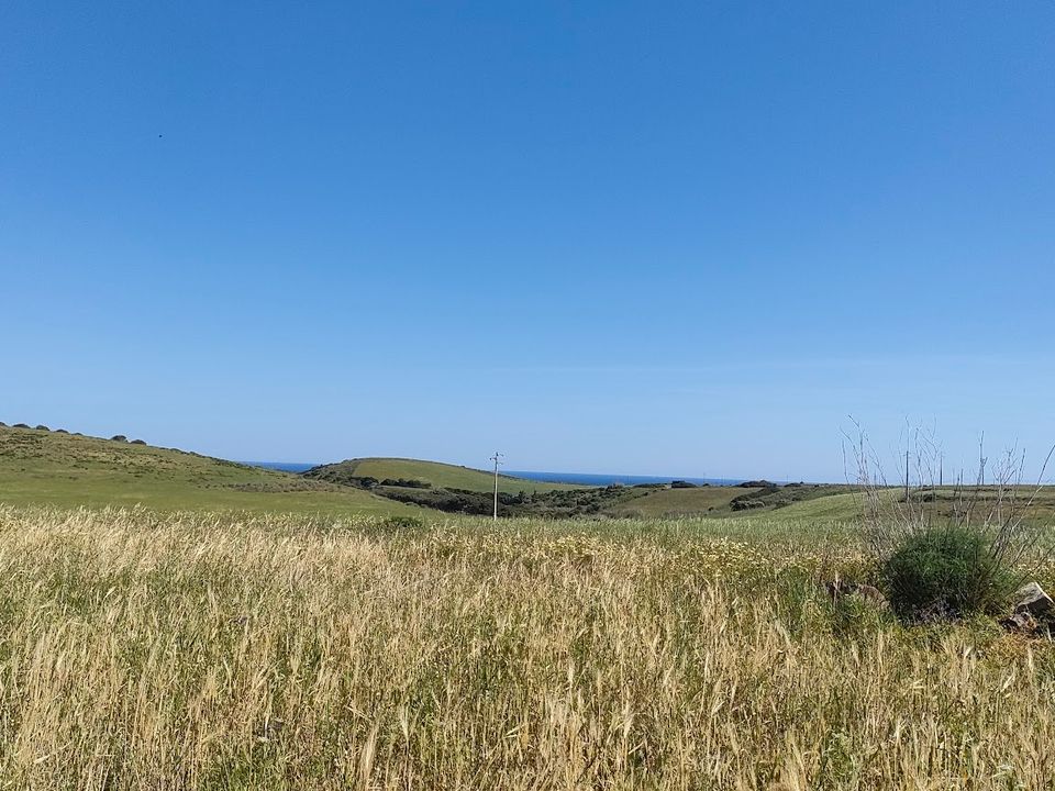 Helårsgrund i Vila do Bispo Municipality, Faro - foto 5