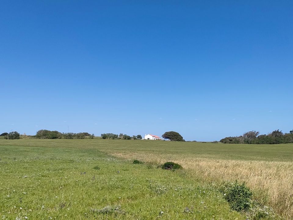 Helårsgrund i Vila do Bispo Municipality, Faro - foto 4