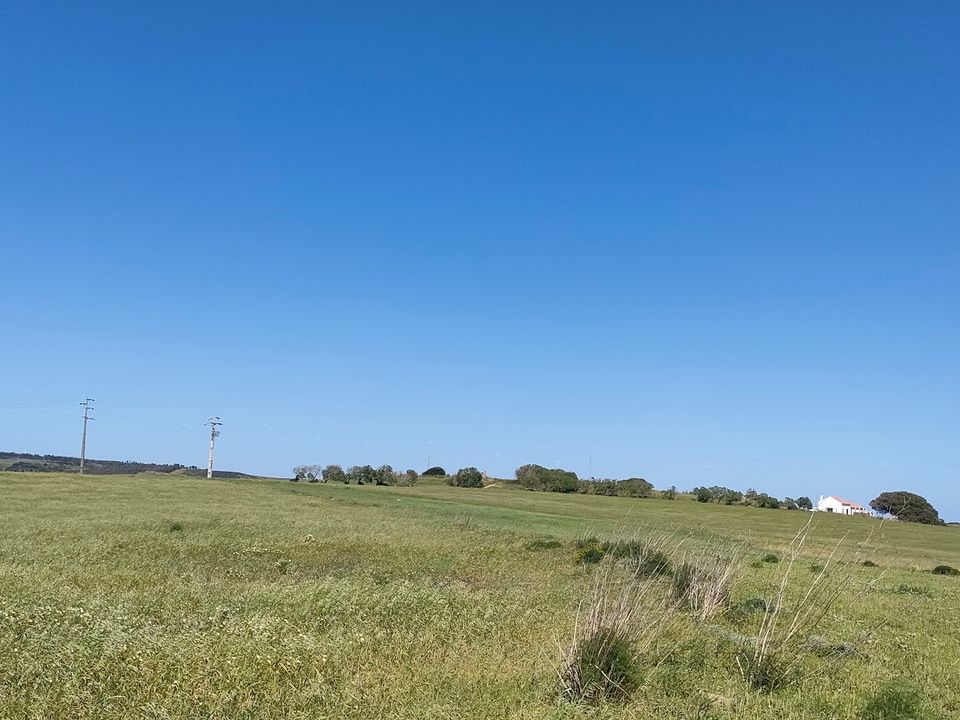 Helårsgrund i Vila do Bispo Municipality, Faro - foto 3