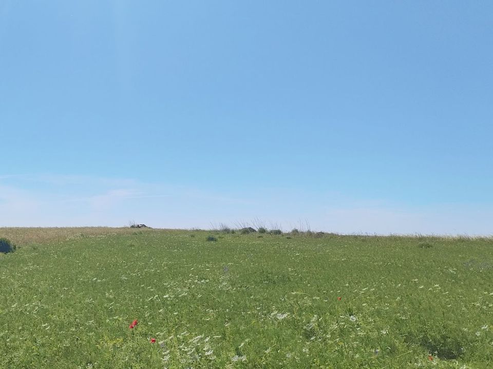 Helårsgrund i Vila do Bispo Municipality, Faro - foto 3