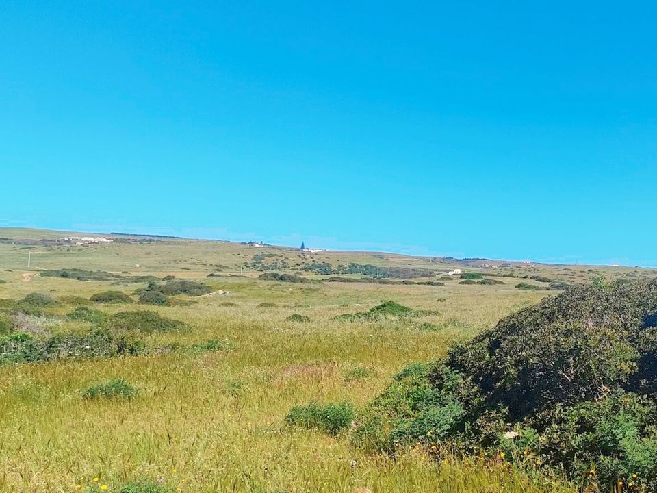 Helårsgrund i Vila do Bispo Municipality, Faro - foto 5