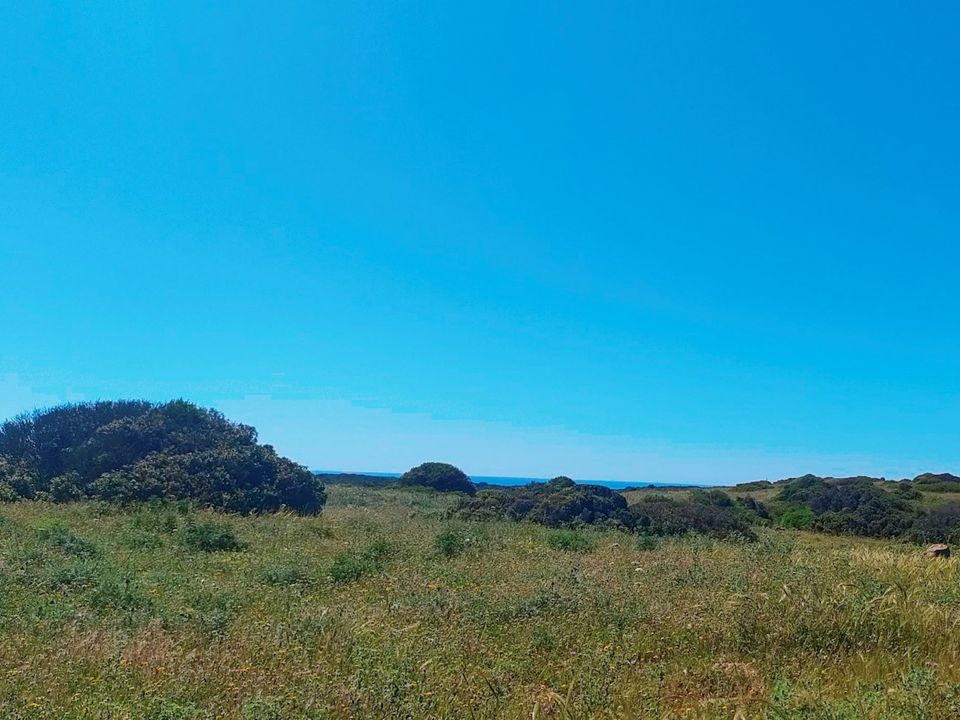 Helårsgrund i Vila do Bispo Municipality, Faro - foto 4