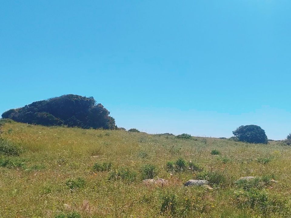 Helårsgrund i Vila do Bispo Municipality, Faro - foto 3