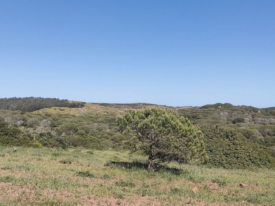 Helårsgrund i Vila do Bispo Municipality, Faro - foto 4