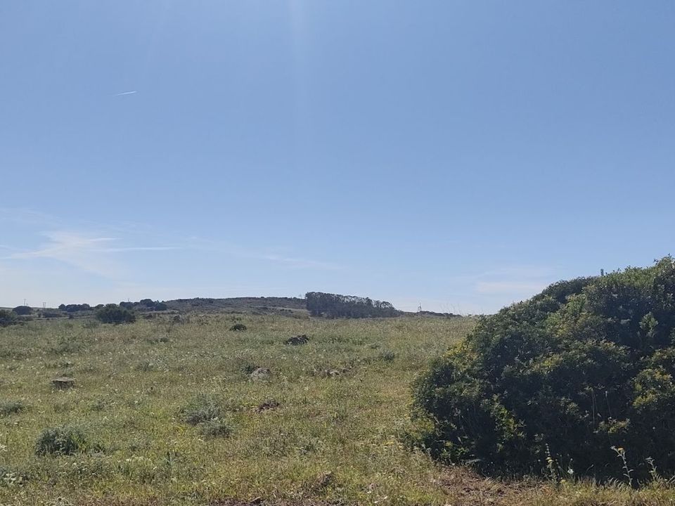 Helårsgrund i Vila do Bispo Municipality, Faro - foto 1