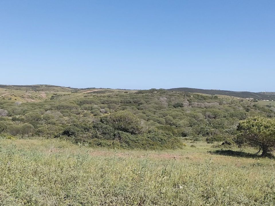 Helårsgrund i Vila do Bispo Municipality, Faro - foto 2