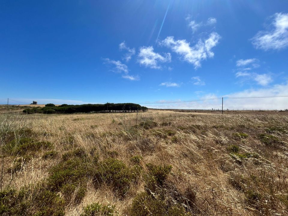 Helårsgrund i Vila do Bispo Municipality, Faro - foto 5
