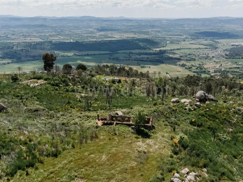 Farm i Covilha, Castelo Branco - foto 2