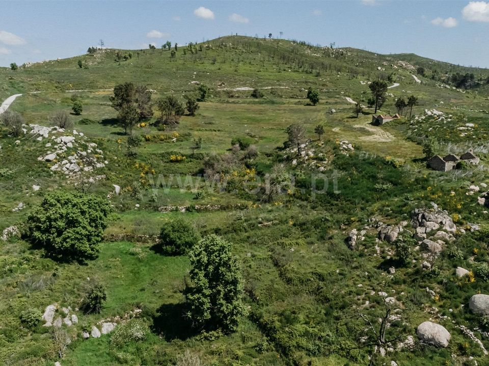 Farm i Covilha, Castelo Branco - foto 4