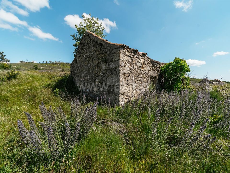 Farm i Covilha, Castelo Branco - foto 1