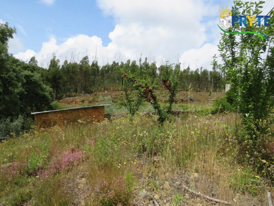 Farm i Troviscal, Castelo Branco - foto 2