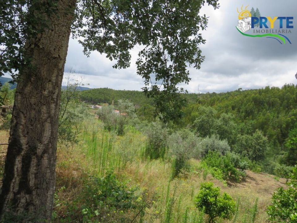Farm i Troviscal, Castelo Branco - foto 3